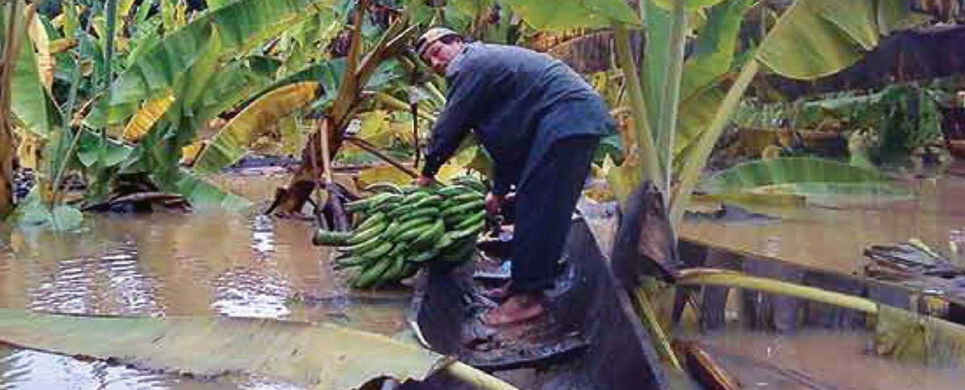 CIPCA presentará a los medios sistematización sobre las inundaciones de 2014 en la Amazonía boliviana