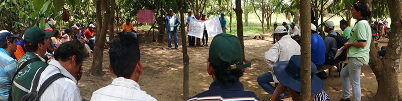Organizaciones e instituciones de la Amazonía boliviana analizaron su problemática ambiental