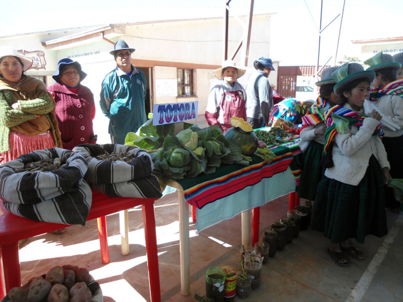 Jóvenes de San Pedro de Totora promueven el derecho a la alimentación
