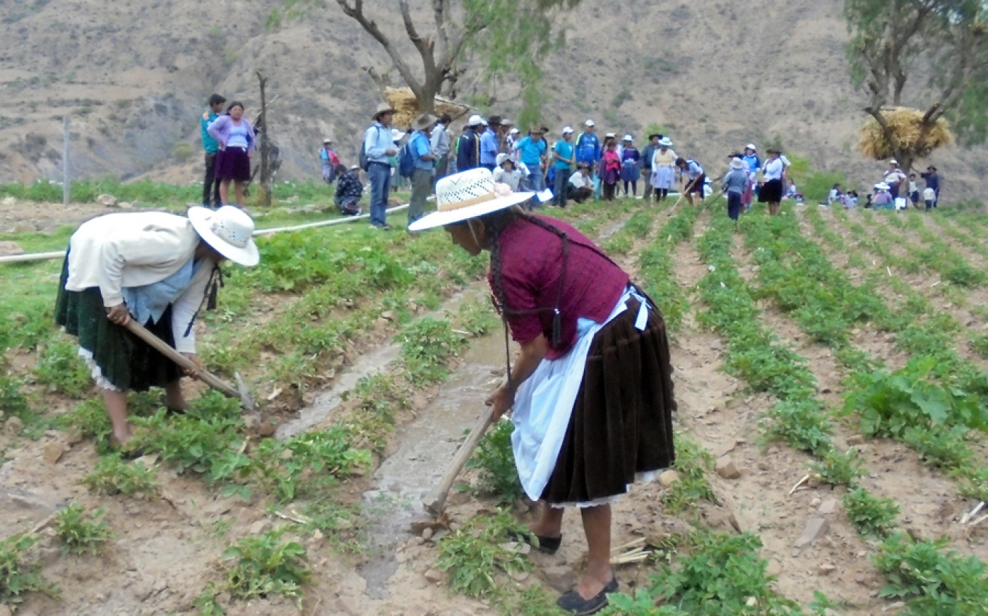 4to. Concurso de riego y festival del agua en Anzaldo visibiliza el aporte de mujeres en los sistemas productivos