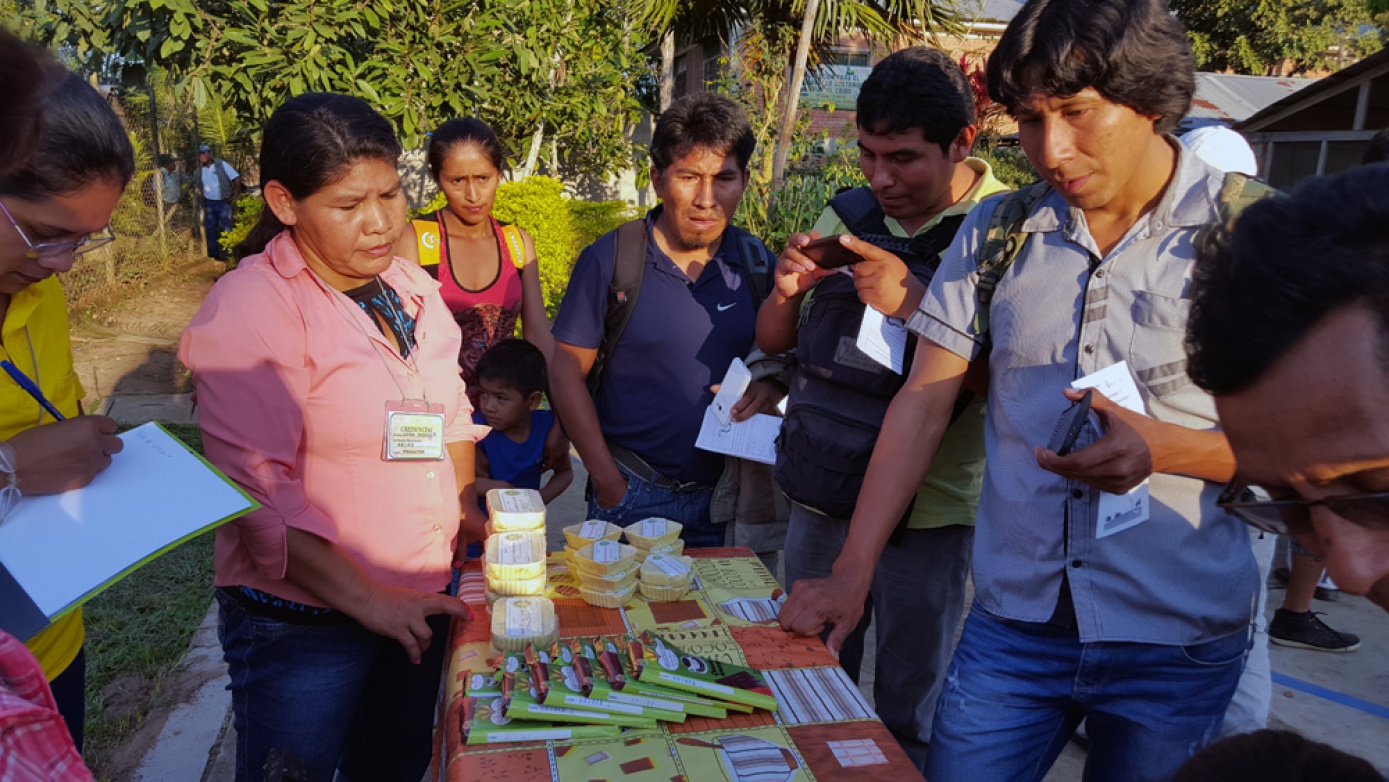 Productores del Beni participaron del Primer Congreso Técnico Científico del Cacao en Bolivia