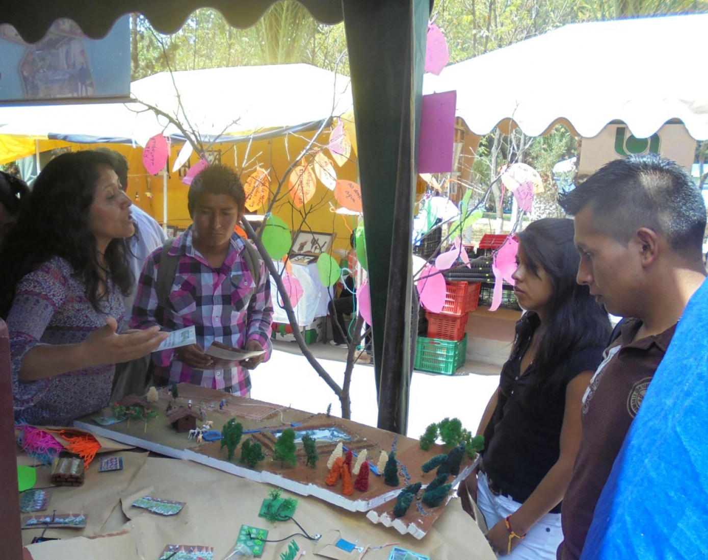 CIPCA participó de la décima expo-agropecuaria forestal departamental- 2016