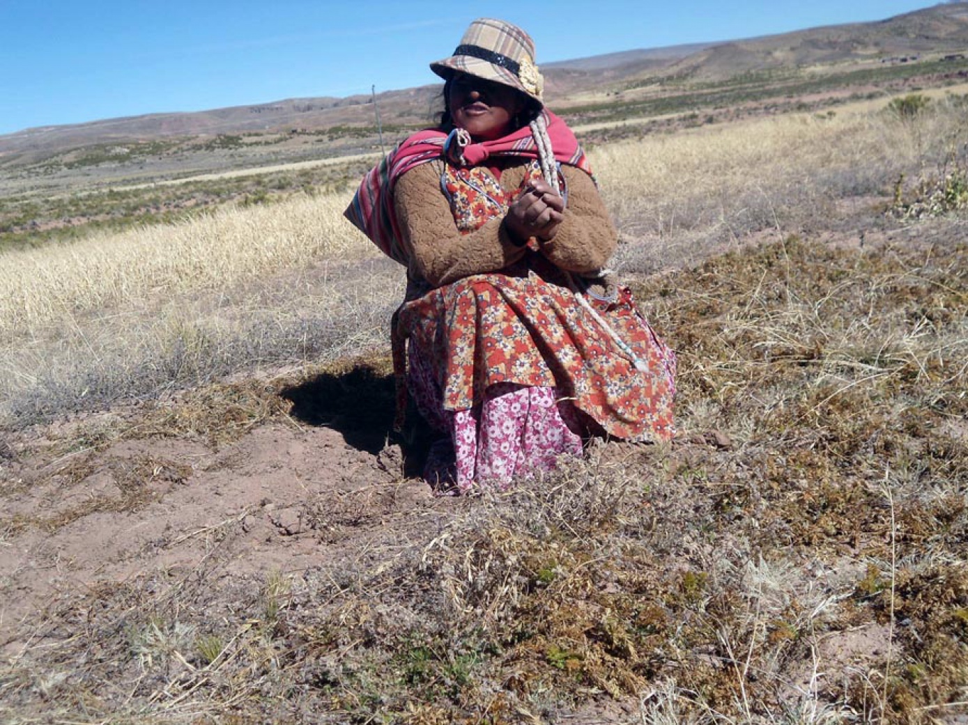 Productores están preocupados por la sequía y desertificación en el altiplano