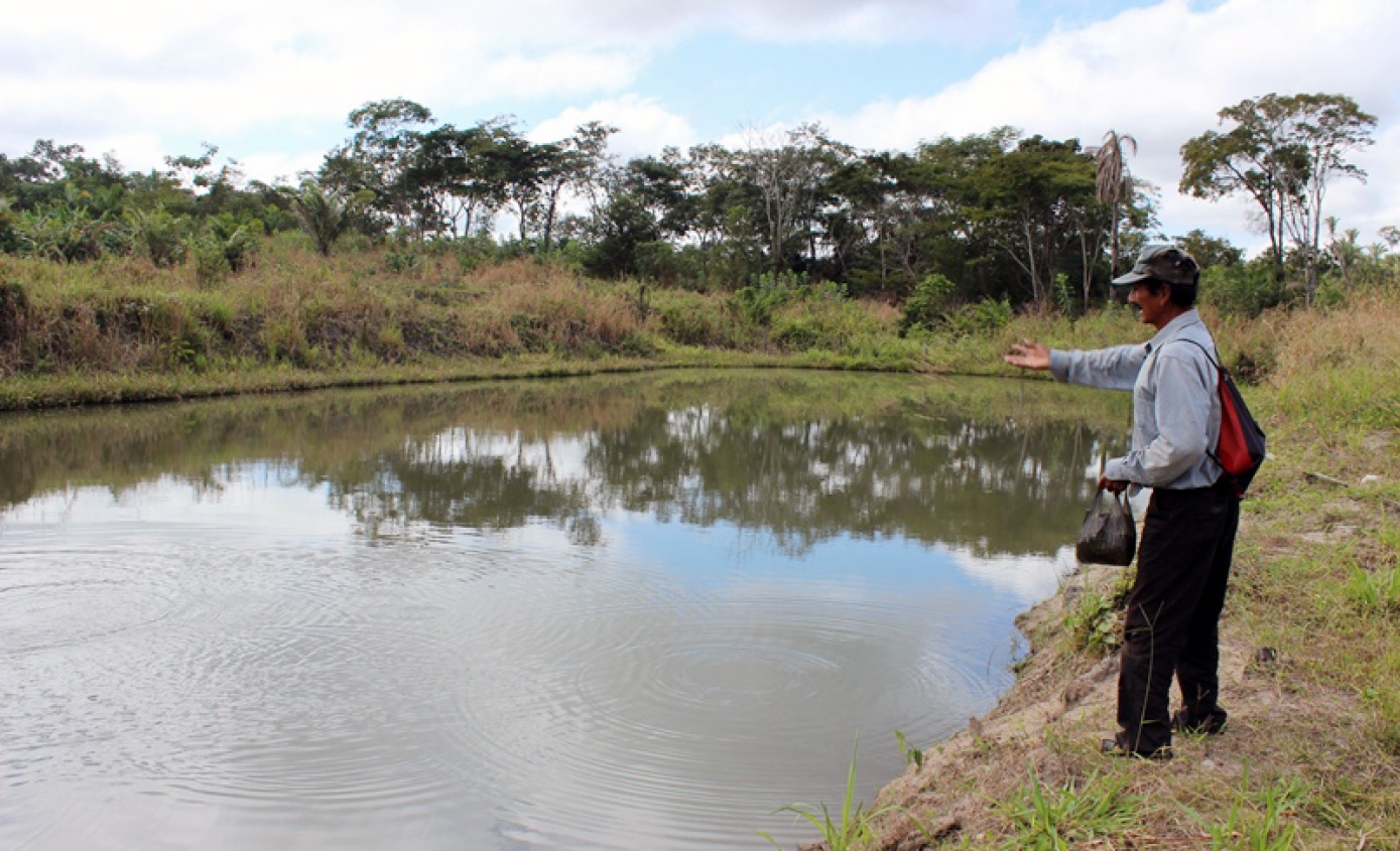 Río Chico desarrolla la producción piscícola para su seguridad alimentaria y la generación de ingresos
