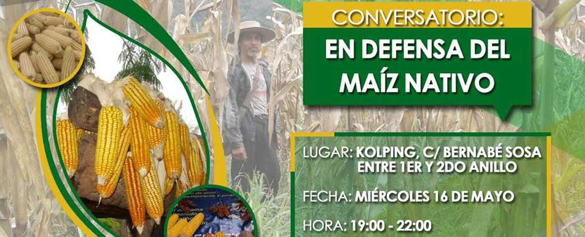 Productores y sociedad civil analizarán los efectos del maíz transgénico en Bolivia el 16 de mayo en Santa Cruz