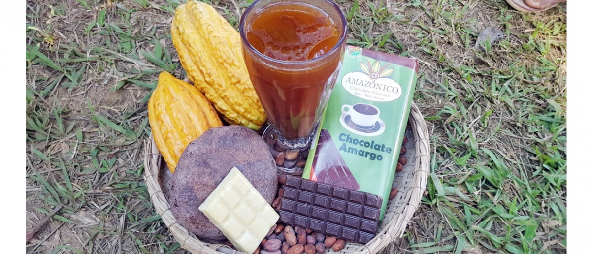 Dos muestras de Cacao Nativo Amazónico del Beni representan a Bolivia en la celebración del International Cocoa Award