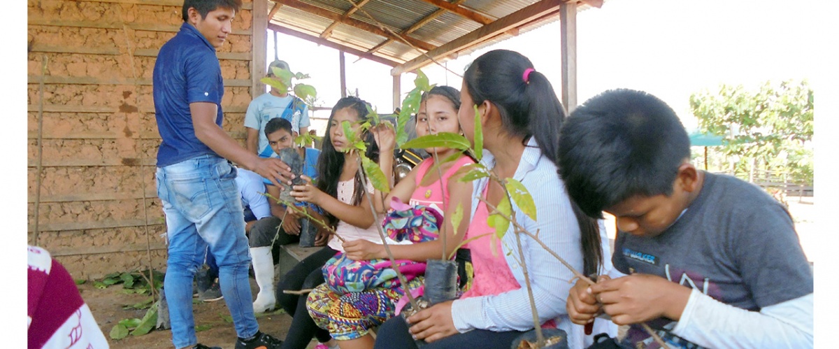 Jóvenes reforestadores de la Amazonía Norte se capacitan en gestión integral sostenible del bosque