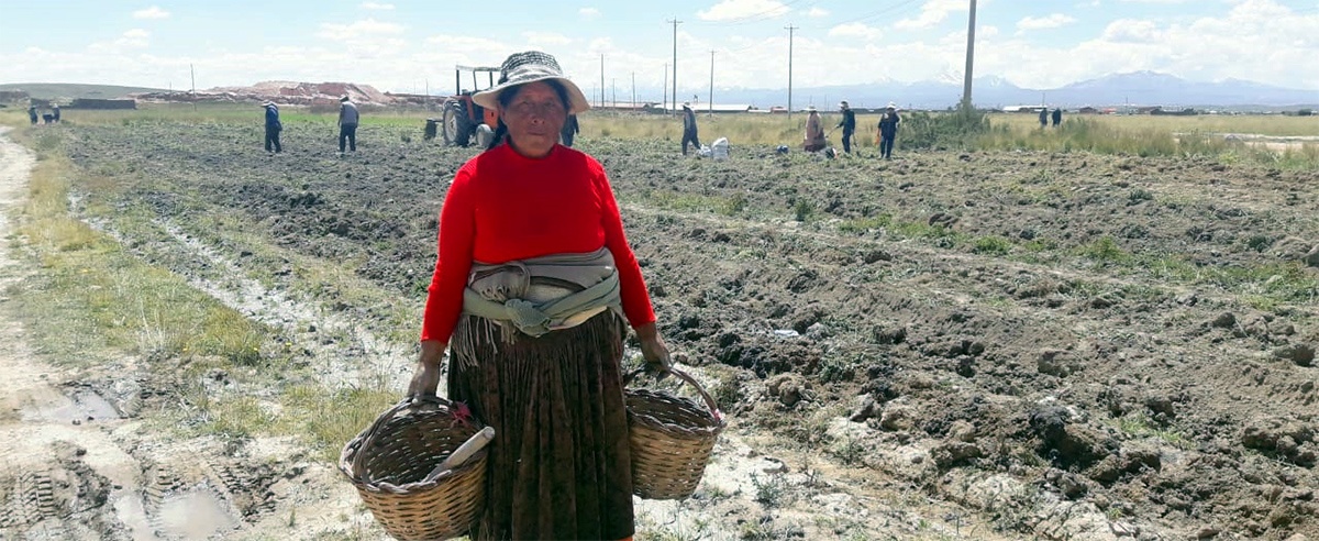No hay cuarentena para las mujeres rurales del Altiplano 