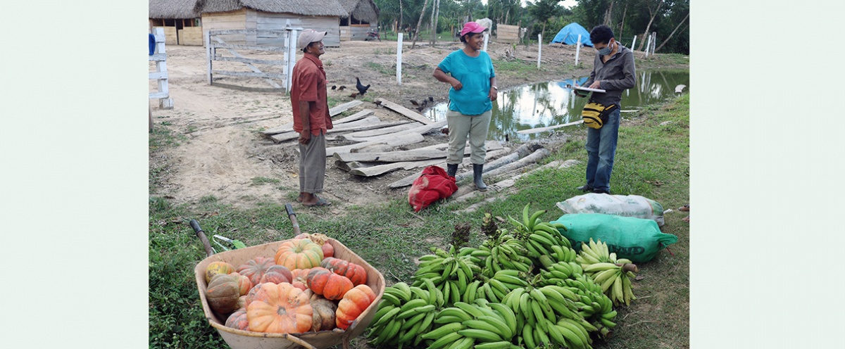 San Ignacio de Mojos: la agricultura familiar una alternativa viable durante y después de la emergencia sanitaria