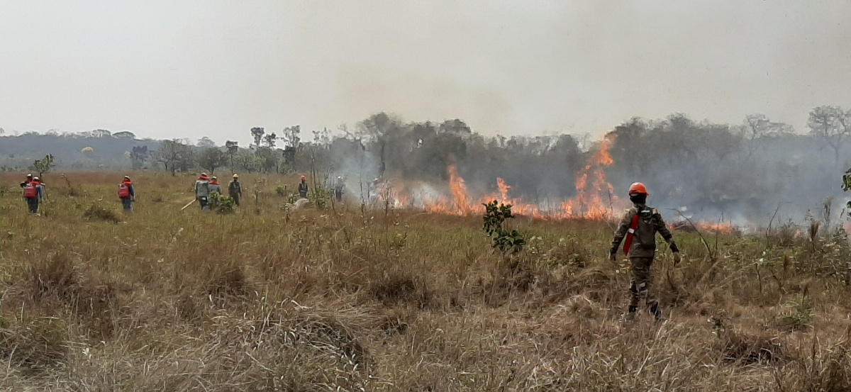 Municipio de San Ignacio de Velasco inmerso en una sequía intensa y amenaza constante de incendios forestales