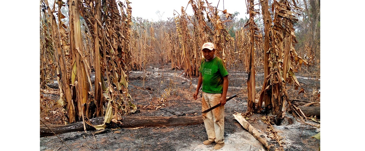 La provincia Guarayos en Santa Cruz está rodeada de fuego