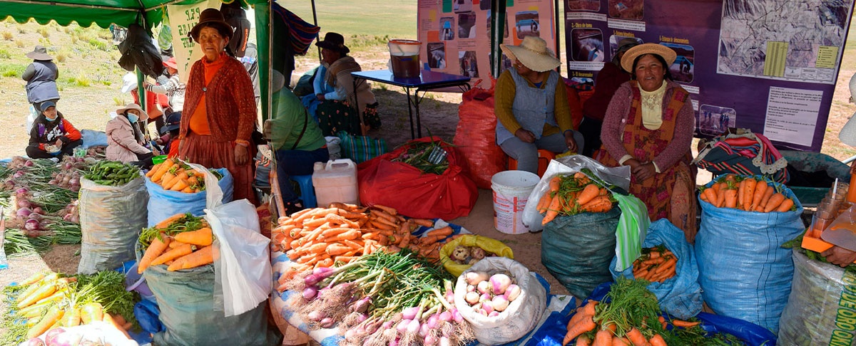 Productores comercializan hortalizas en la en la 1ra Feria de Productos Agroecológicos en el municipio de San Pedro de Totora.