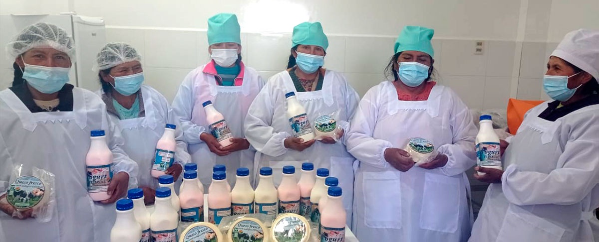 Inauguración de la planta de transformación lácteos en Calamarca