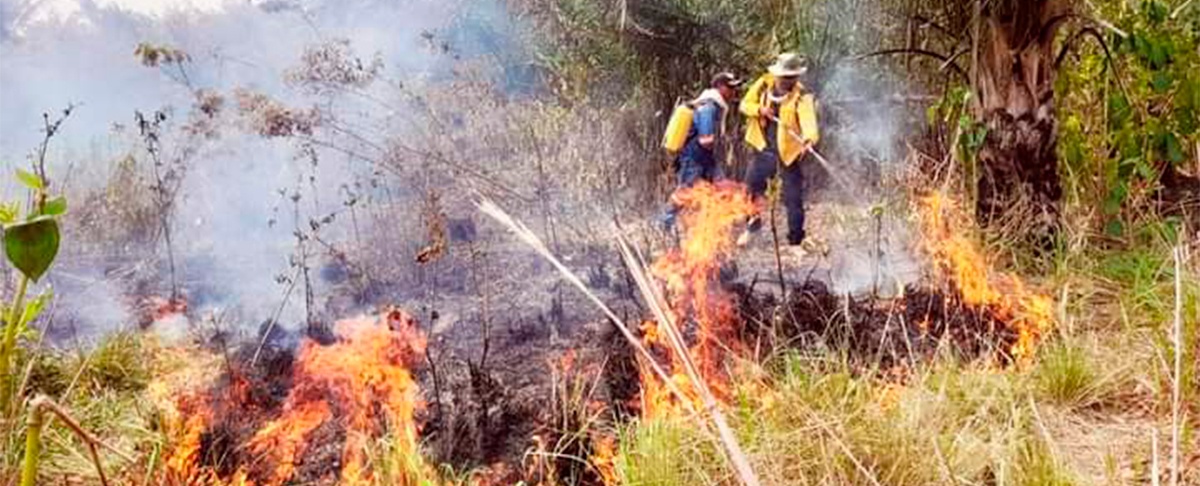 Santa Cruz en alerta roja por incendios forestales.