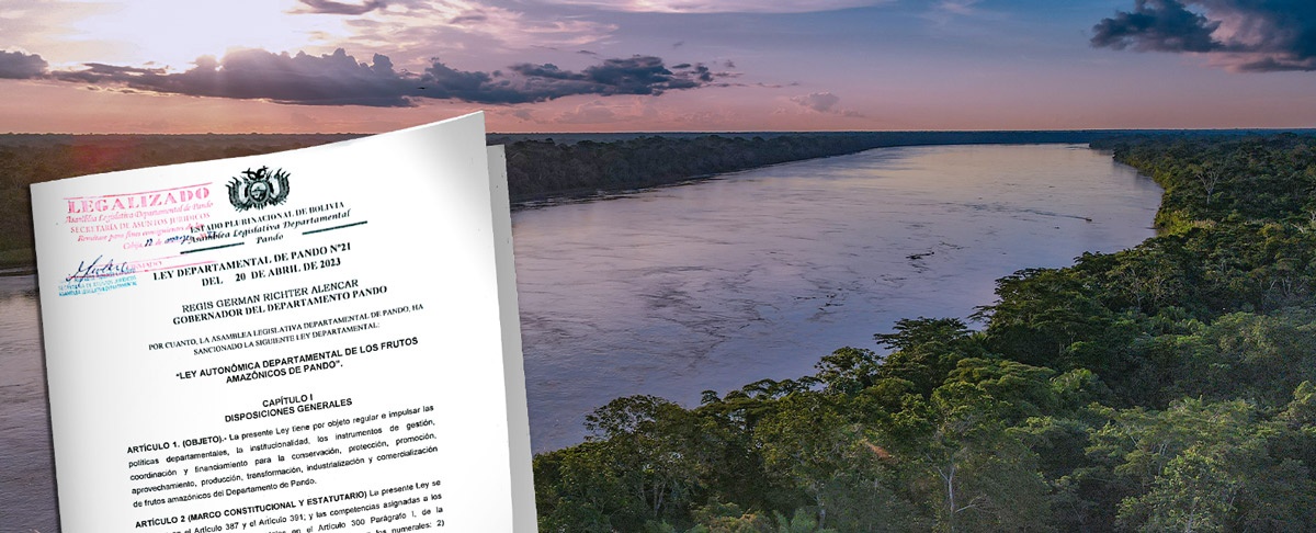 Pando promulga la "Ley Autonómica Departamental de los Frutos Amazónicos" en un histórico movimiento de sostenibilidad
