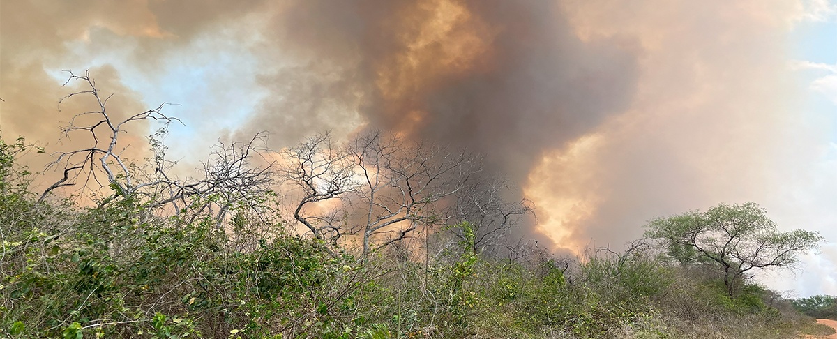 Incendios forestales: Arde “Área de Conservación e Importancia Ecológica” Ñembiguasu en el Chaco boliviano