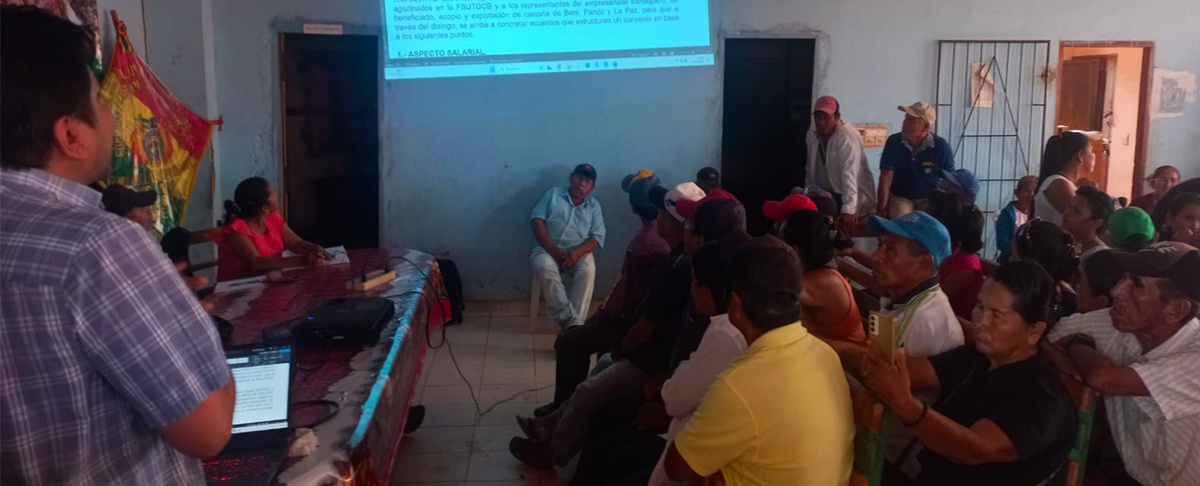 Federación de zafreros y castañeros de Bolivia en emergencia por el bajo precio de cosecha de castaña
