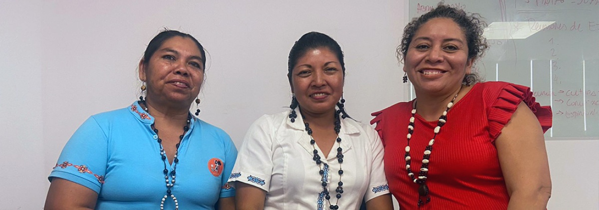 Comité Internacional del XI FOSPA:  Las mujeres indígenas y su percepción social del XI FOSPA. 