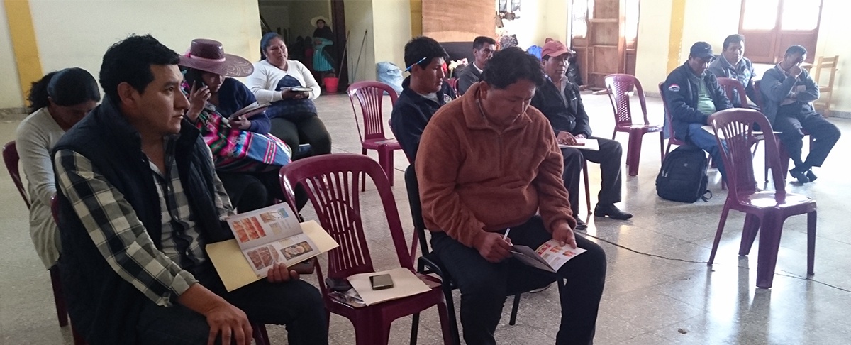 Actores de Independencia acuerdan fortalecer la producción lechera y articularla con la Alimentación Complementaria Escolar