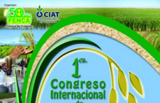 Se conocerán nuevas tecnologías  de producción en el Primer Congreso Internacional del Arroz