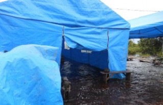 Lluvias no dan tregua y aumentan las cifras de damnificados en el país
