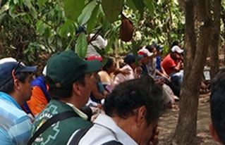 Organizaciones e instituciones de la Amazonía boliviana analizaron su problemática ambiental