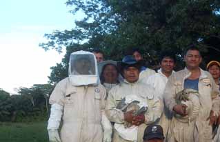 Apicultores guaraníes reciben capacitación especializada en producción apícola
