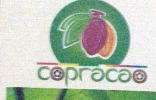 Confederación boliviana de cacaoteros reconoció el trabajo de CIPCA por su apoyo al sector