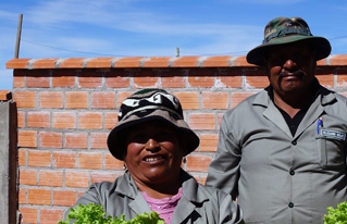 Ocho unidades educativas de San Andrés de Machaca ya cuentan con invernaderos