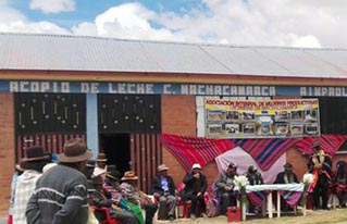 Productoras lecheras del municipio de Colquencha inauguran nueva infraestructura para la producción de lácteos
