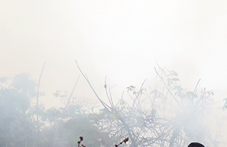 CIPCA apoya la capacitación interinstitucional de combate de incendios en el Norte Amazónico de Bolivia