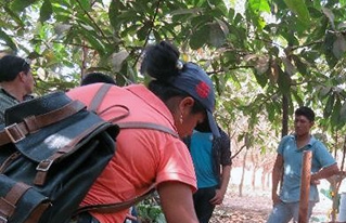 Técnicos de la Amazonía boliviana intercambian prácticas agroecológicas sobre mejoramiento de suelos y manejo de plagas.
