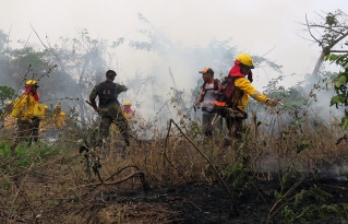 En Riberalta bomberos junto a productores indígenas y campesinos se capacitan en prevención de incendios 
