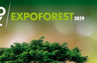 El 10 de abril iniciará la XVI Feria Integral del Bosque “EXPOFOREST”
