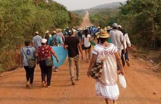 50 ONGs presentan informes a la ONU por violación a derechos indígenas y medioambientales