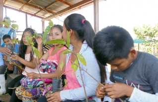 Jóvenes reforestadores de la Amazonía Norte se capacitan en gestión integral sostenible del bosque