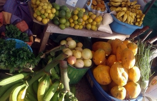 Pequeños productores de la provincia guarayos abastecen los mercados locales con la agricultura familiar