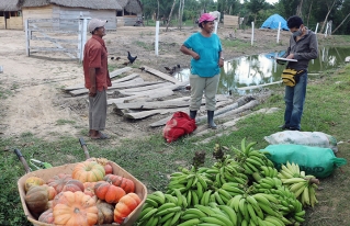 San Ignacio de Mojos: la agricultura familiar una alternativa viable durante y después de la emergencia sanitaria