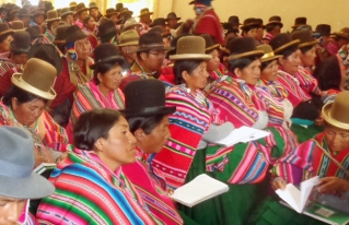 Mujeres originarias campesinas del Altiplano exigen el cumplimiento de sus derechos políticos