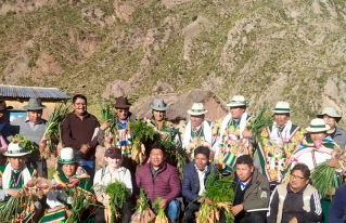 Autoridades originarias y políticas de Totora Marka apuestan por la producción agroecológica