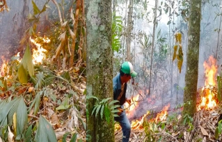 Focos de calor e incendios en ascenso obligan a declarar Emergencia Departamental en Beni