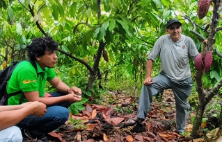 Productores agroforestales bolivianos y peruanos intercambian experiencias