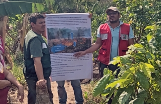Producción sostenible: experiencias en SAF chaco sin quema muestran que otra agricultura es posible