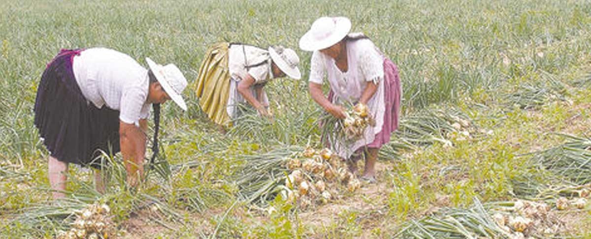 Las mujeres rurales entre las transformaciones agrícolas