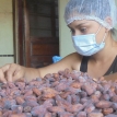 Datos científicos sustentan de éxito del cacao amazónico boliviano premiado internacionalmente.