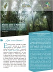 Sínodo para la Amazonía “Nuevos caminos para la iglesia y para una Ecología Integral&#34;