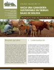 Hacia una ganadería sustentable en tierras bajas de Bolivia. Propuesta para política pública 